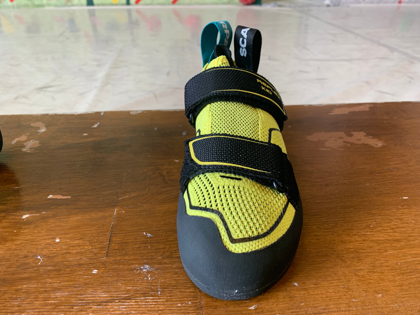 【SCARPA】リフレックスキッズ