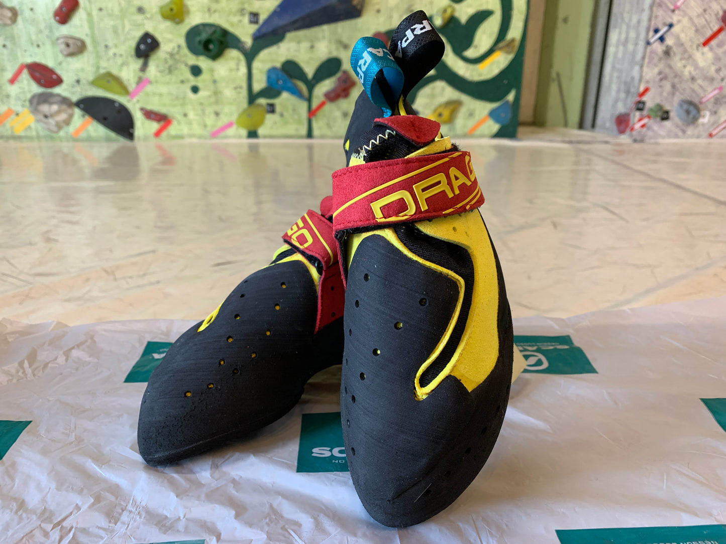 【SCARPA】ドラゴ