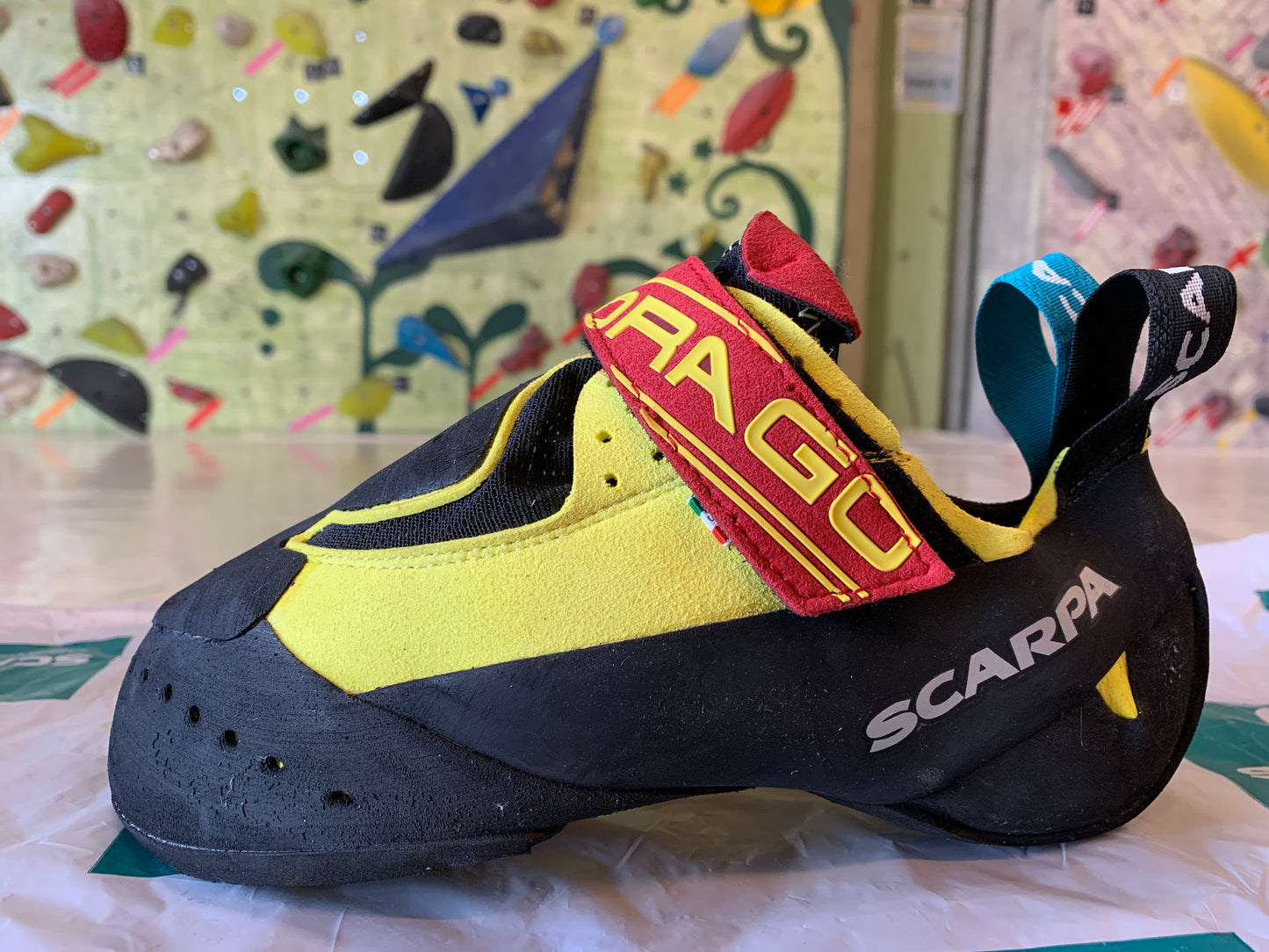 【SCARPA】ドラゴ