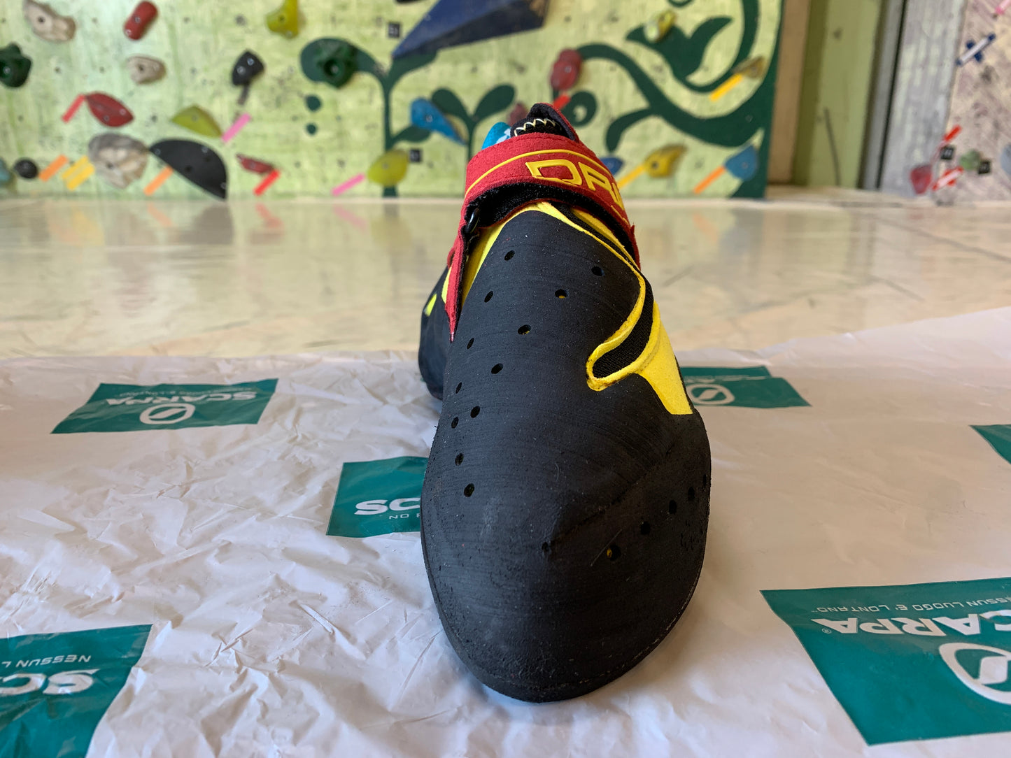 【SCARPA】ドラゴ
