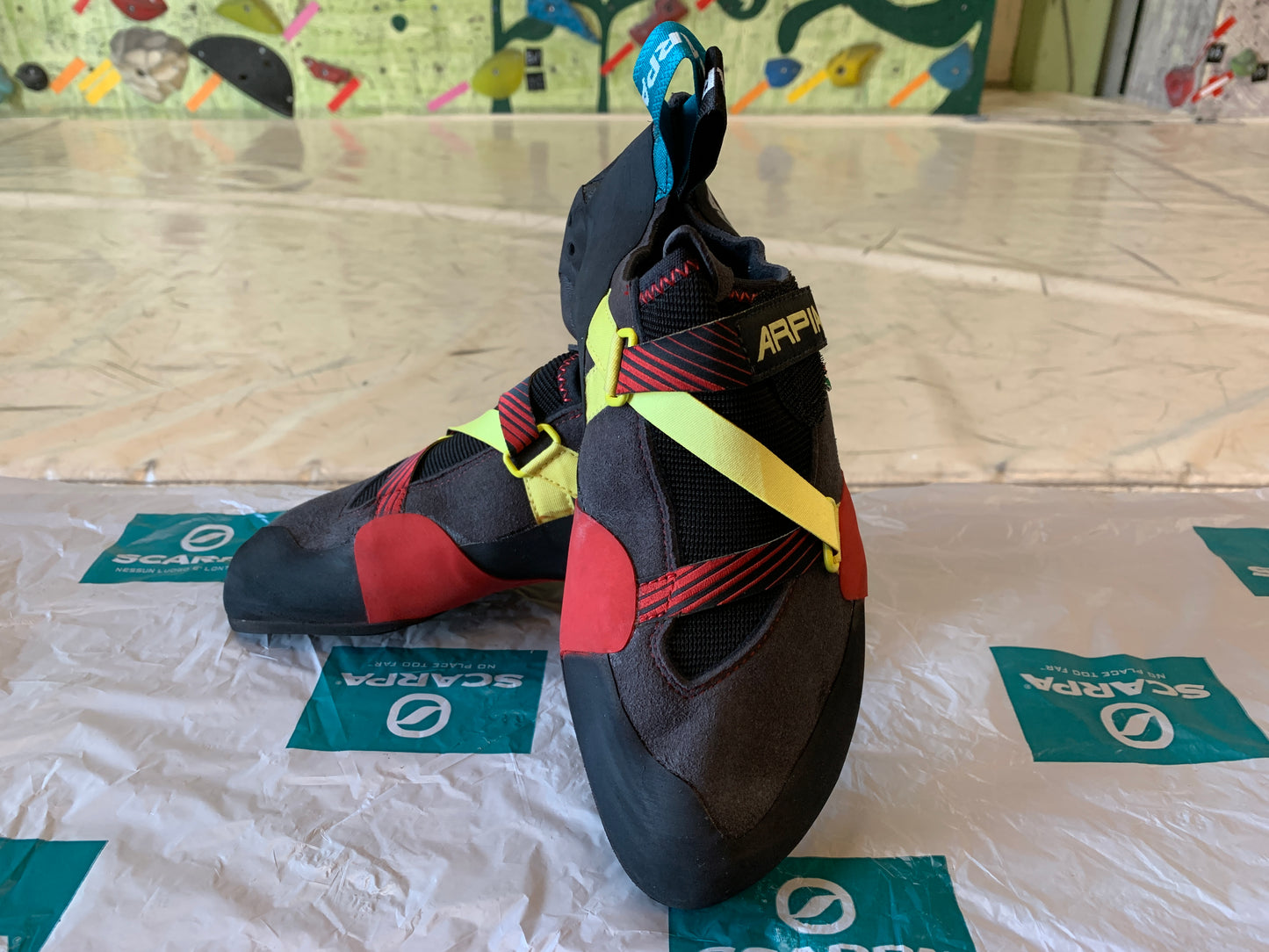【SCARPA】アルピア
