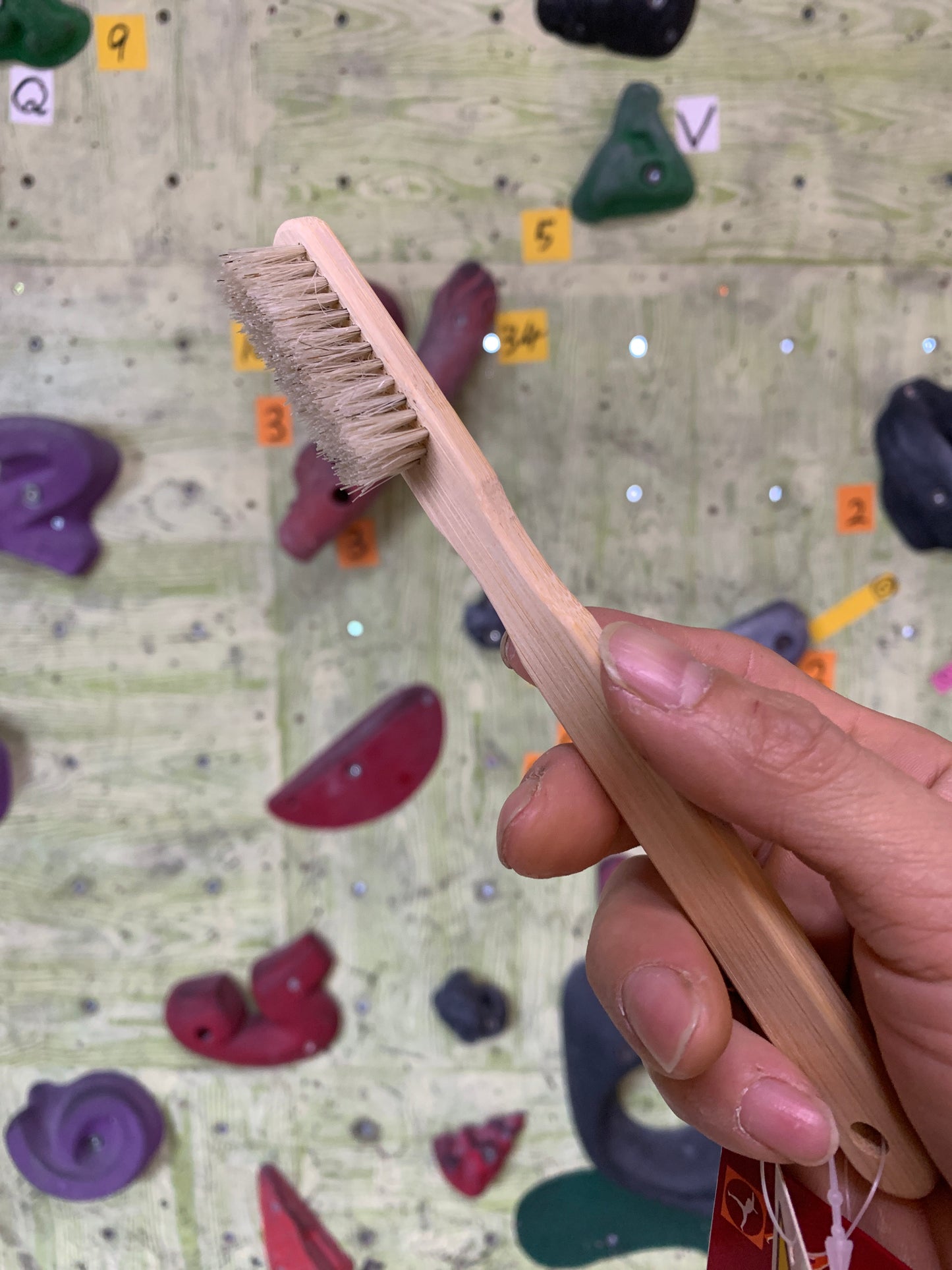 【Metolius】バンブーボアヘアブラシ
