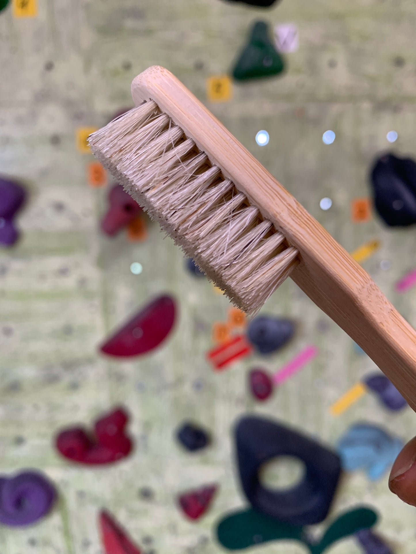 【Metolius】バンブーボアヘアブラシ