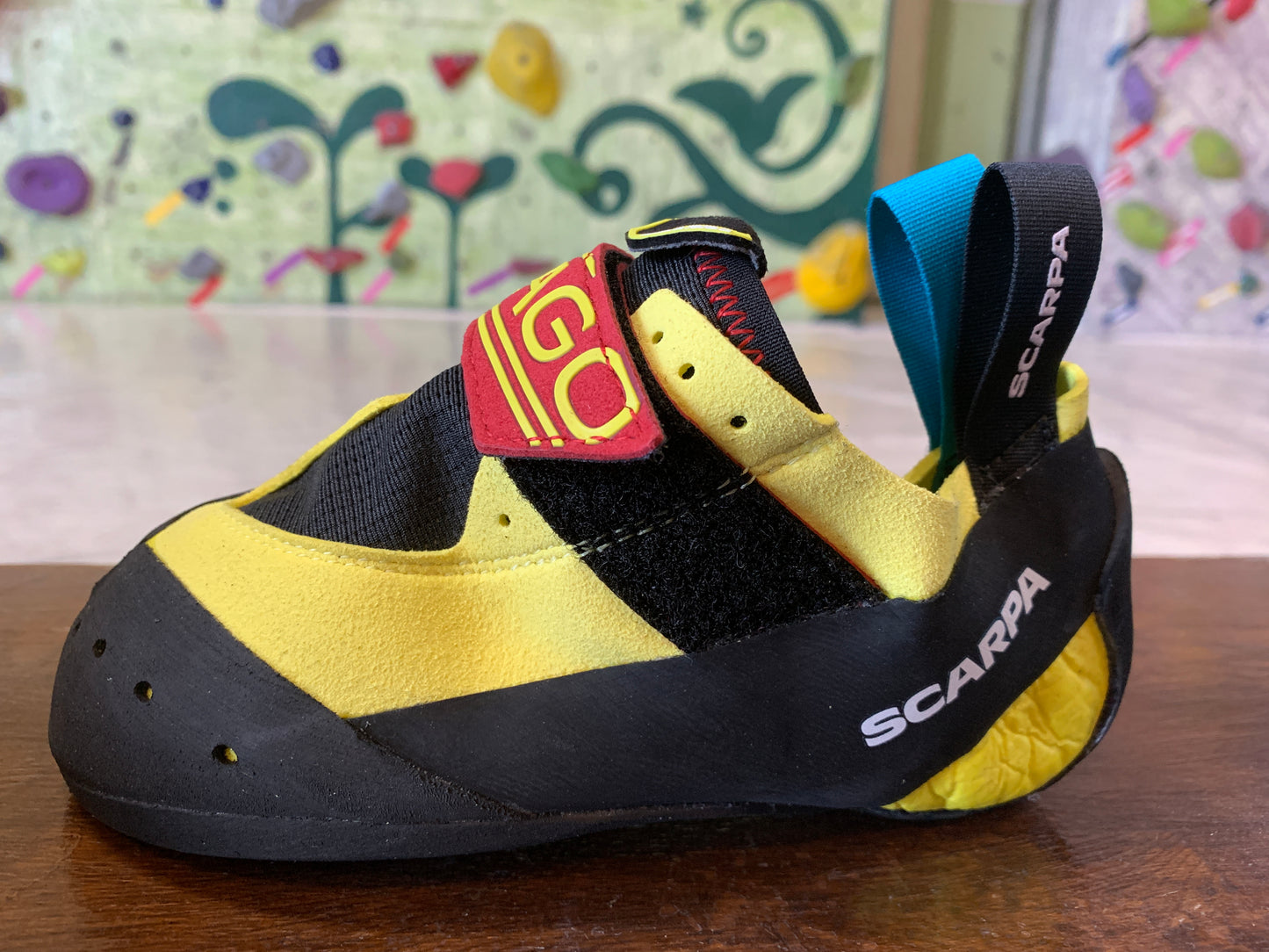 【SCARPA】ドラゴキッズ