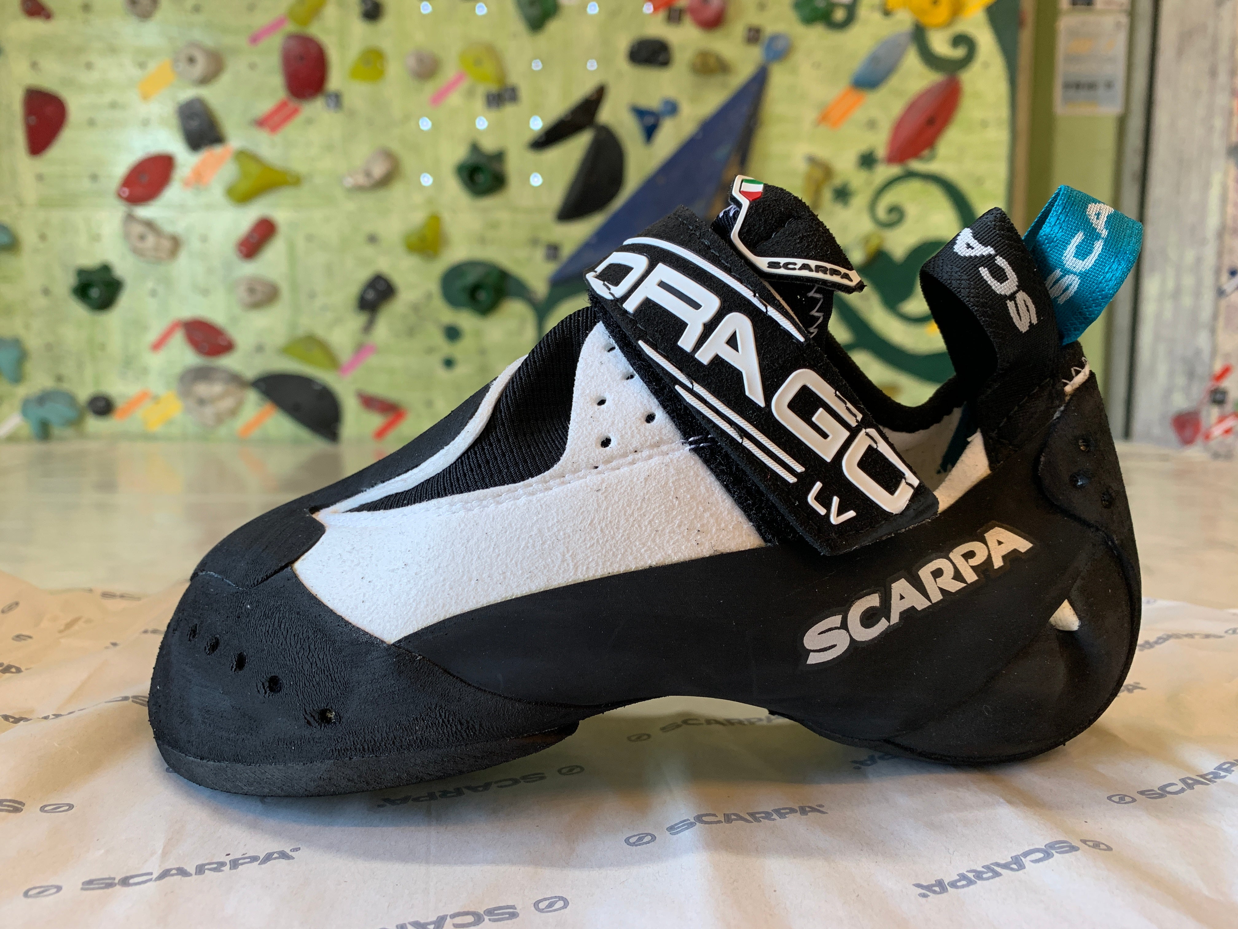 SCARPA】ドラゴLV – Mono Climbing Studio online store