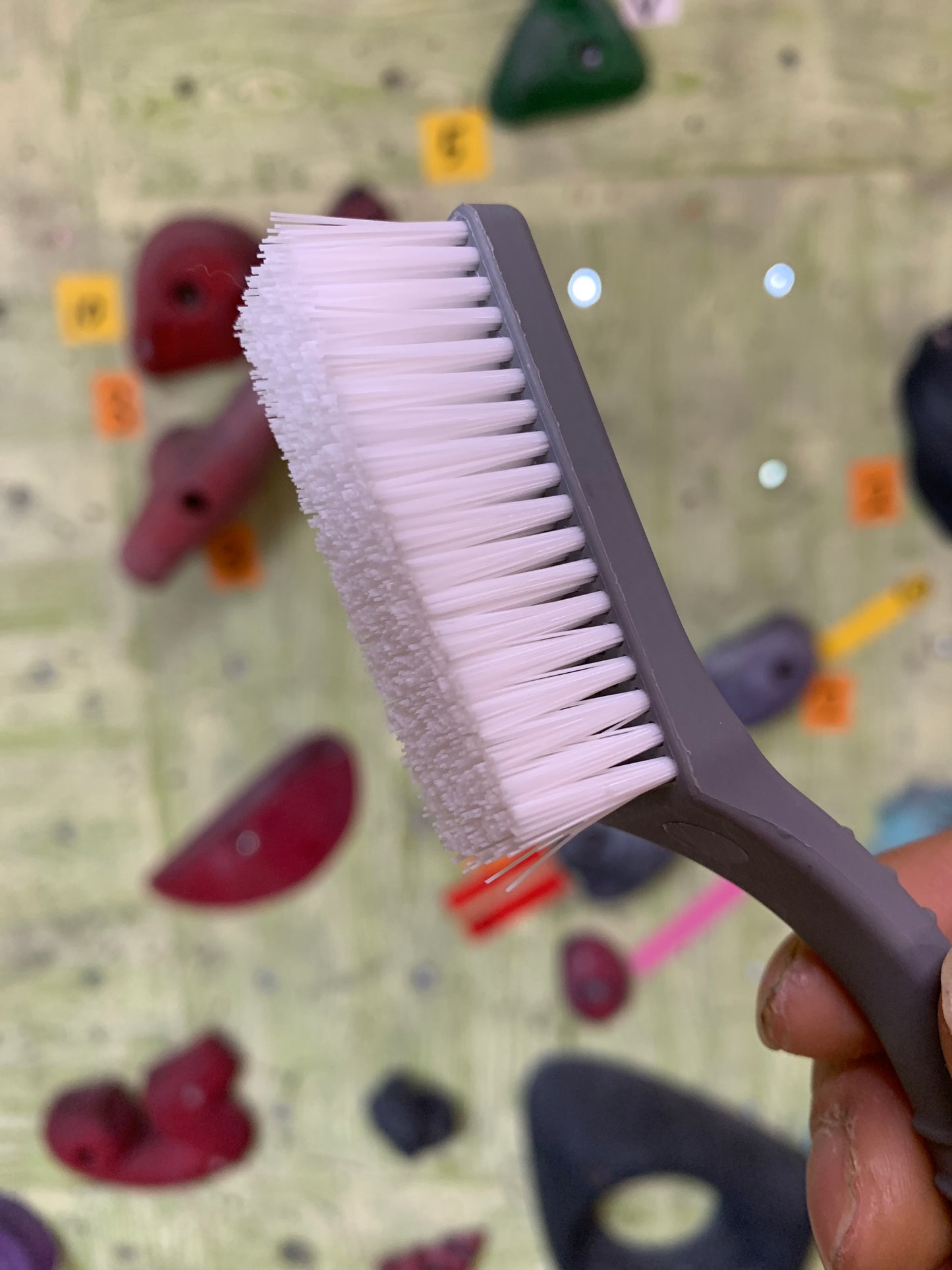 [Metolius] Razorback Bore Hair Brush