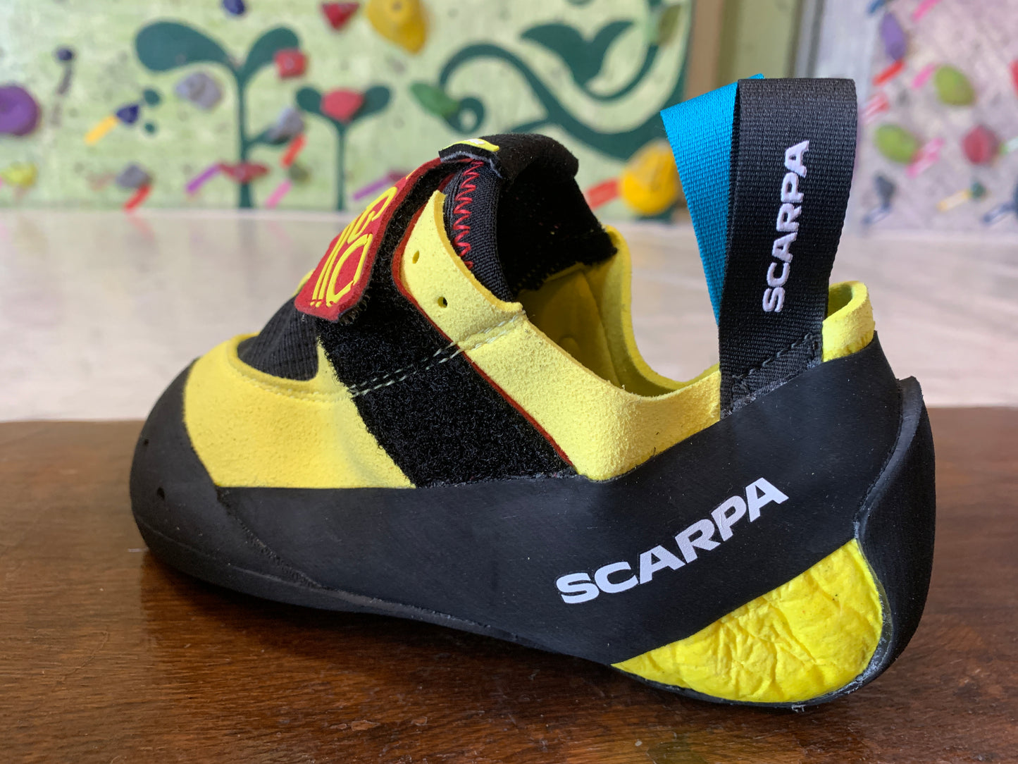 【SCARPA】ドラゴキッズ