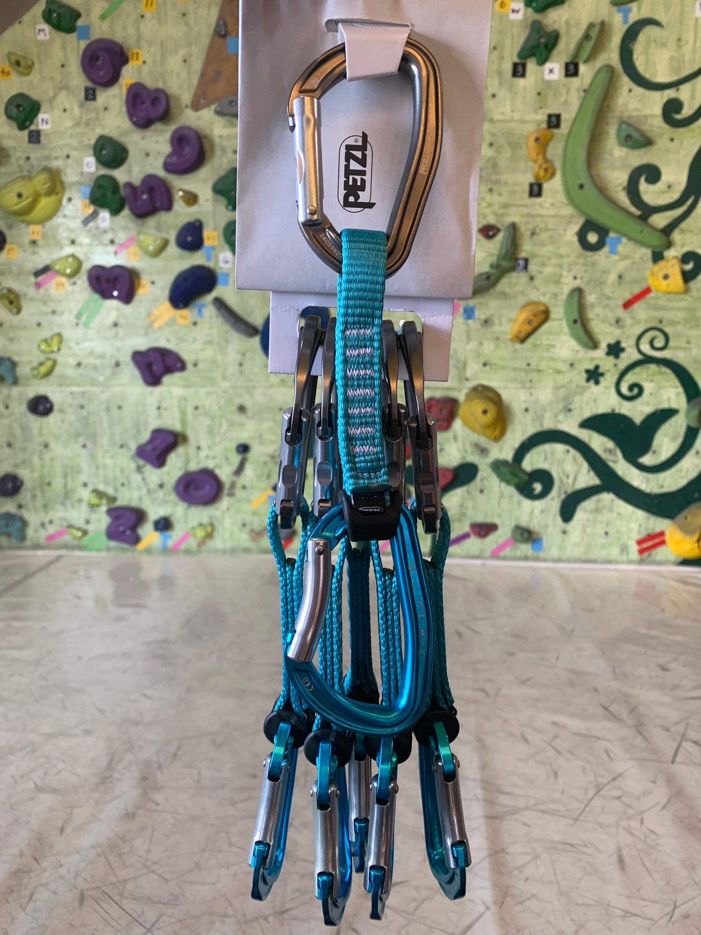 【Petzl】ジン アクセス 6本パック