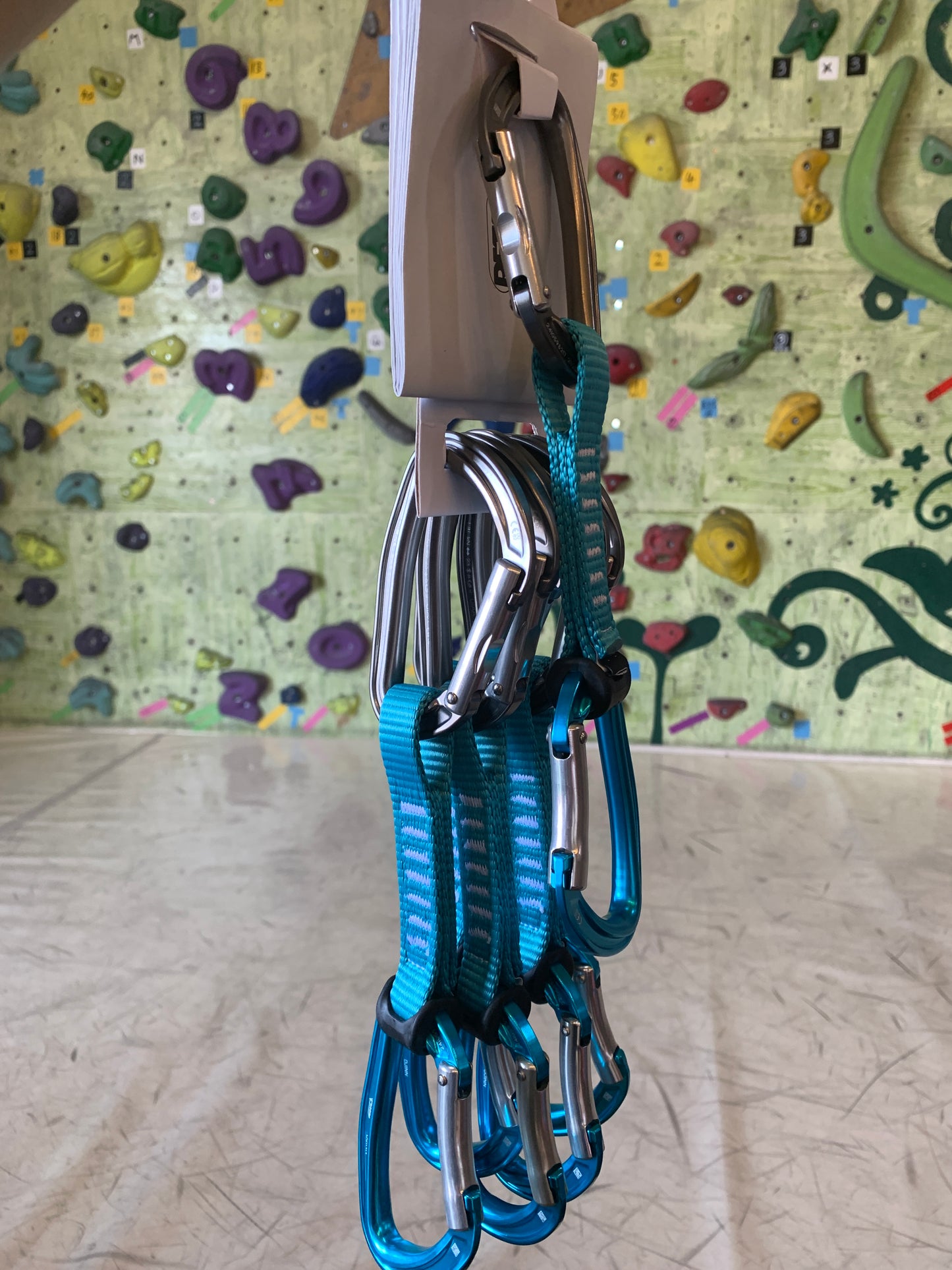 【Petzl】ジン アクセス 6本パック
