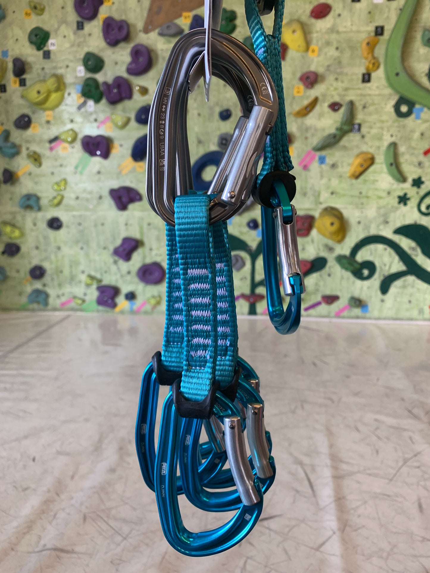 【Petzl】ジン アクセス 6本パック